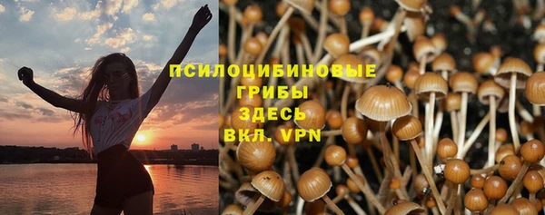 дмт Надым