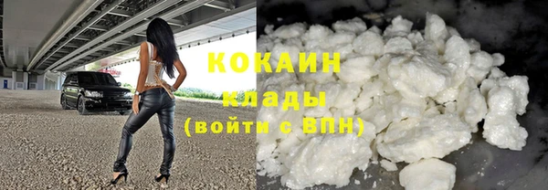шишки Нея