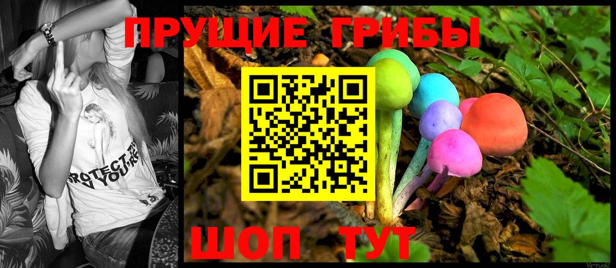 Псилоцибиновые грибы GOLDEN TEACHER Лысьва