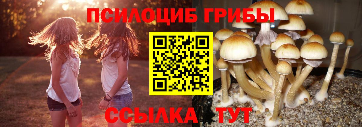 Псилоцибиновые грибы ЛСД  Вход с VPN  Лысьва 